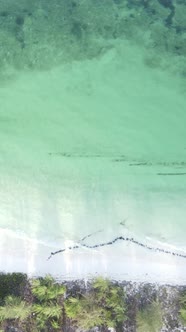 Vertical Video Boats in the Ocean Near the Coast of Zanzibar Tanzania