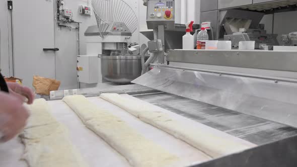 Baker Placing Tray with Formed Raw Dough on Rack Trolley Ready to Bake in the Oven