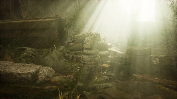 Hoary Ruins of Ancient City in Pine Forest alt