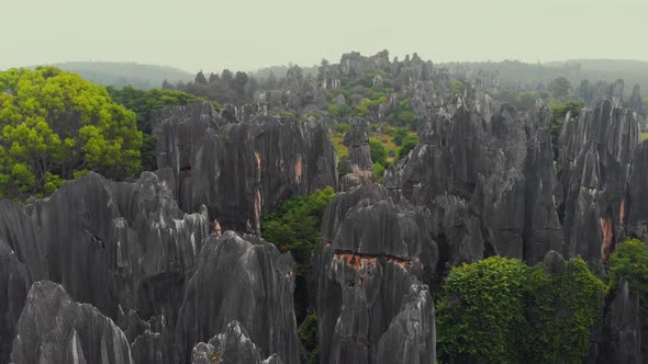 Rocks in Stone Forest