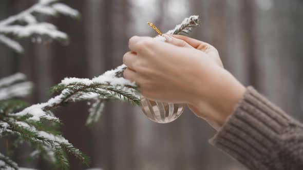 Female Hands Decorate a Living Tree with Eco-friendly Christmas Toys and Balls