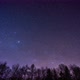 Time Lapse of a Night Sky Full of Stars Over the Trees in the Forest - VideoHive Item for Sale