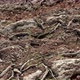 Rocky Ground Loop - VideoHive Item for Sale