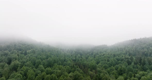 AERIAL - Misty, foggy forest in the Caucasus Mountains, Georgia, truck right