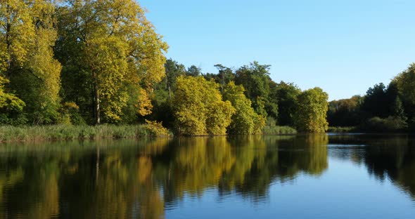 The pond Sainte Perine, Forest of Compiegne, Picardy, France.