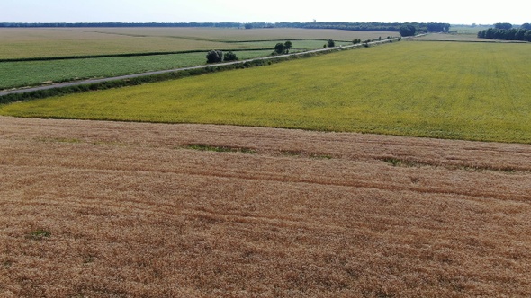 Flying Over A Field Of Wheat