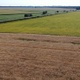 Flying Over A Field Of Wheat - VideoHive Item for Sale