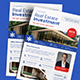 Real Estate Investment Flyer - GraphicRiver Item for Sale