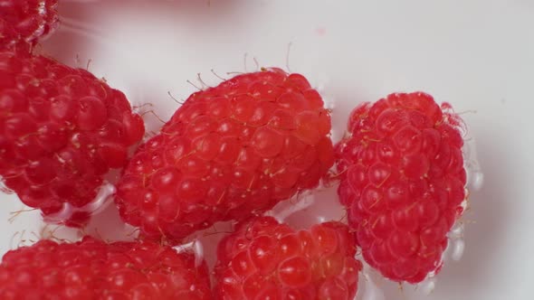 Macro Video of Raspberries Falling Into the Water Top View