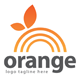 Orange Logo - GraphicRiver Item for Sale
