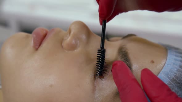 Eyelash Extension Procedure at Beauty Salon