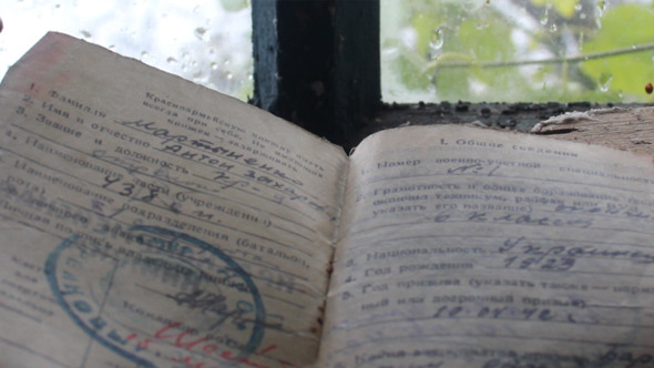 Old Soldier Document alt