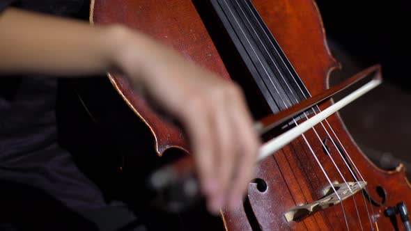 Cello Girl Woman Playing Cello Close-up . Kyiv. Ukraine