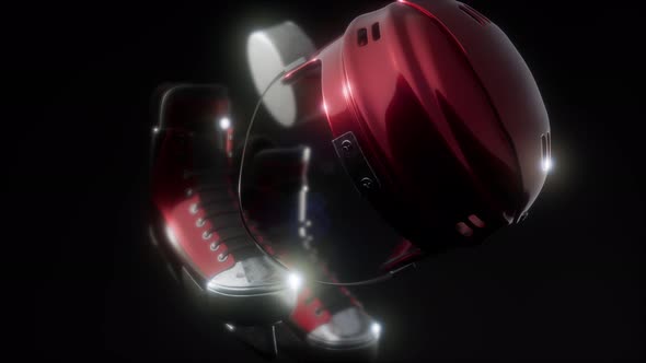 Hockey Puck and Hockey Equipment alt