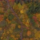 Looking down over forest and stream in Autumn - VideoHive Item for Sale