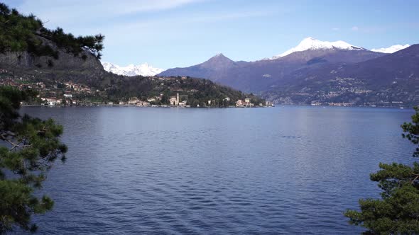 Shore of Lake Como Through the Branches of Coniferous Trees