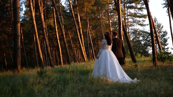 Groom and Bride in a park. wedding dress. Bridal wedding bouquet of flowers, love the groom