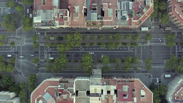 Cars Driving Through the Streets of a City Bird's Eye View