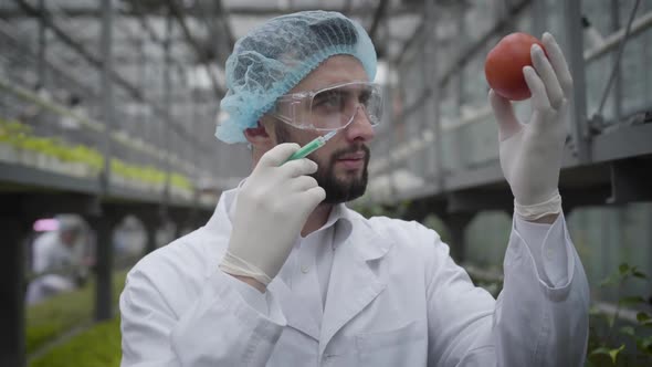Close-up of Confident Young Handsome Man Making Injection To Tomato. Caucasian Male Scientist