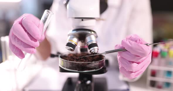 Scientist Examines Soil Samples in Laboratory Slow Motion  Movie