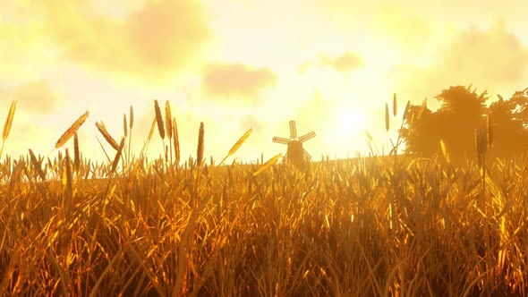 Golden Wheat Farm And Windmill alt