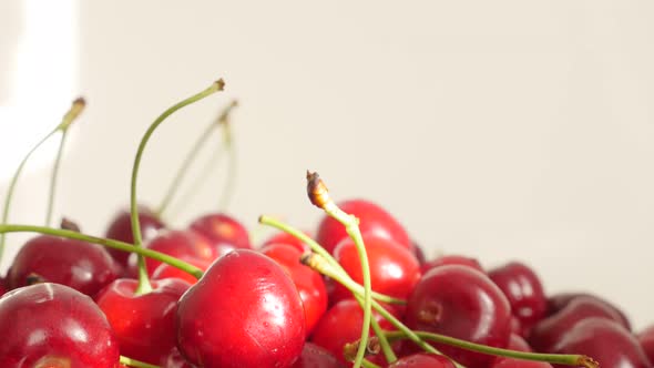 Organic fresh cherries on top of many slow tilting 4K 3840X2160 30fps  UltraHD footage - Tilt on red