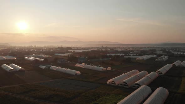 Agricultural Fields with Greenhouses Plantation at Sunset