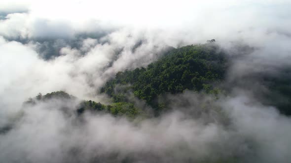 4K aerial view from a drone flying over the valley, fog in the morning