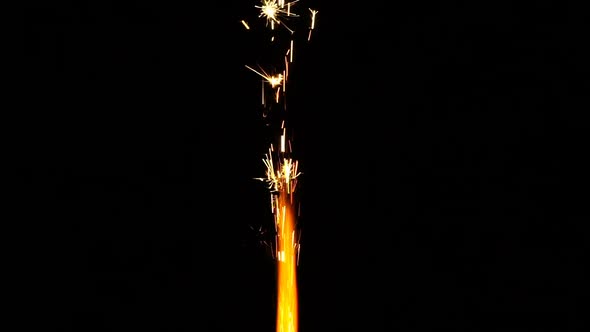 Sparkler Isolated on Black Background