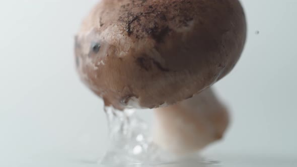Mushroom falling on water surface. Slow Motion. alt