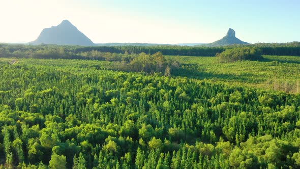 Aerial view of the Glass House Mountains, Sunshine Coast Hinterland.