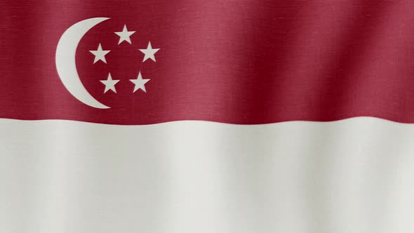 The National Flag of Singapore alt
