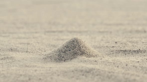 Wind Blows on Sand Heap