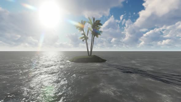 Trees grow in the middle of the sea during the day