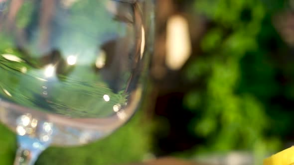 panoramic shot of a large empty wine glass on the background of green nature