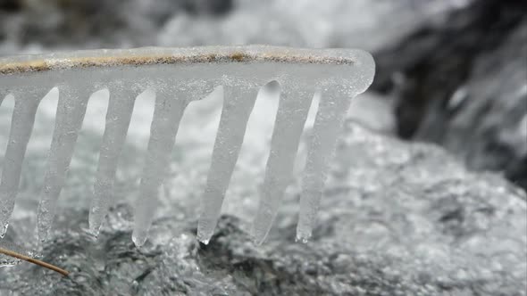 View of icicles on branch hanging over small stream