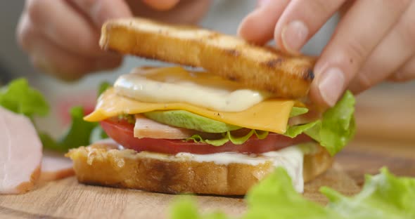 Big Appetizing Sandwich with Ham Ripe Tomato Slices and Pieces of Cheese Lettuce and Mayonnaise