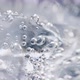 Ice in a Glass of Water - VideoHive Item for Sale