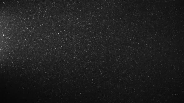 Dust Particles On Black Background