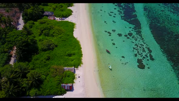 Aerial drone shot scenery of tropical coast beach wildlife by transparent sea and white sandy backgr
