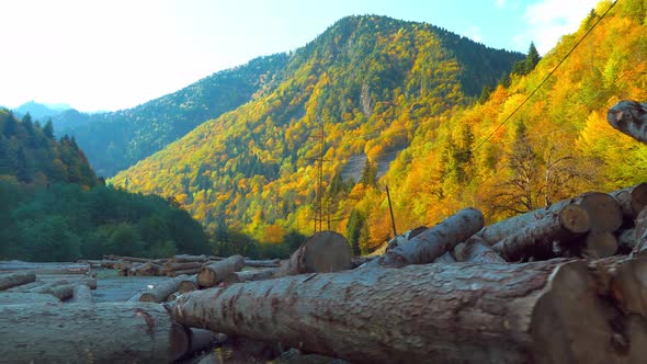 pile of wooden logs in the middle of mountains.