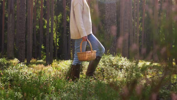 Woman with Mushrooms in Basket Walking in Forest