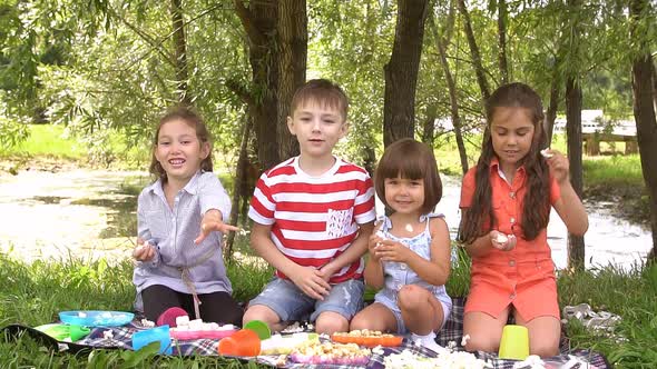 Picnic Outdoors on a Summer Day. Slow Motion