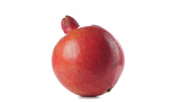 One Red Ripe Whole Pomegranate. Closeup on White Background