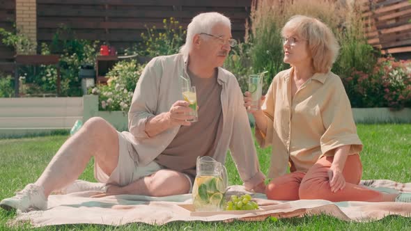 Senior Couple On Picnic In Backyard