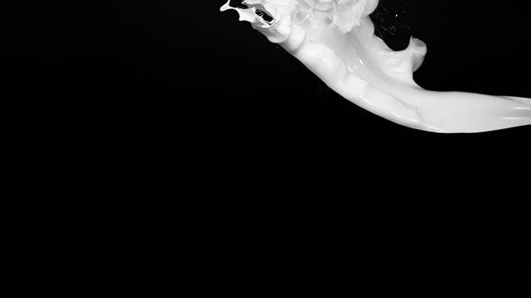 Paint splash in midair against black background. Slow Motion. Unedited version included. alt