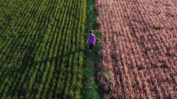 Asian Woman Walking At Green And Pink Rice Berry Field.