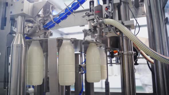 Robotic equipment for bottling milk.
