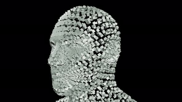Human Head From Rotating Cubes