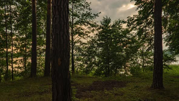 Beautiful Summer Sunset in the Forest By the Forest Lake Hyperlapse Camera Movement